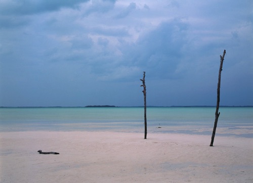 Three Sticks Harbour Island Bahamas (MF).jpg